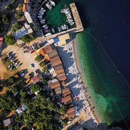 Crveni